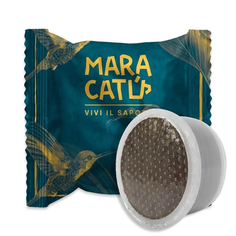 100 Capsule Caffè Maracatú Miscela INTENSO Compatibili Lavazza Espresso Point, intensità 10/10