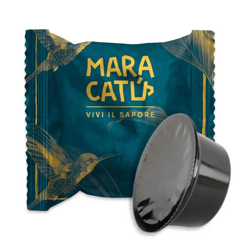 80 Capsule Maracatú Miscela Arabica 100% Compatibili Lavazza Firma